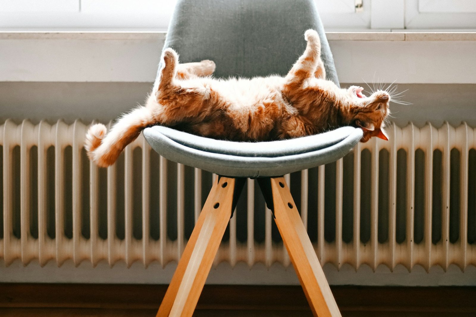 Heizkörper in einem Wohnraum